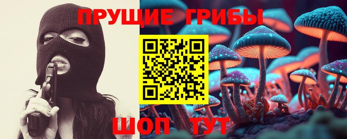 Псилоцибиновые грибы GOLDEN TEACHER  Вход с VPN  Псилоцибиновые грибы Magic Shrooms  Ростов-на-Дону 
